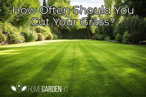 How often should the grass be cut