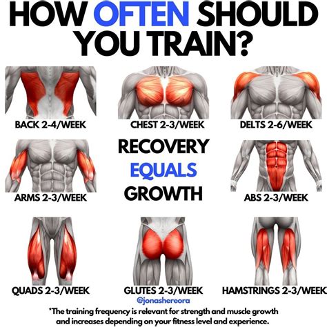 How often should u work out