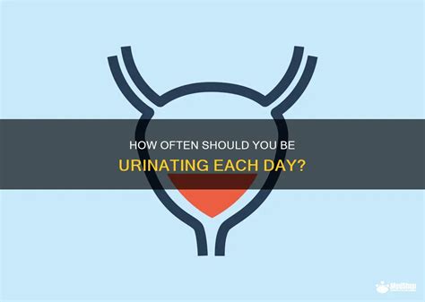 How often should you be urinating