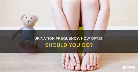 How often should you need to urinate