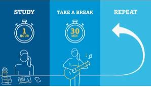 How often should you take study breaks