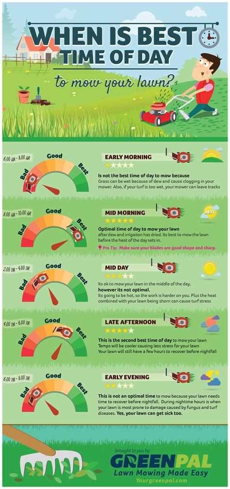 How often to cut grass in spring