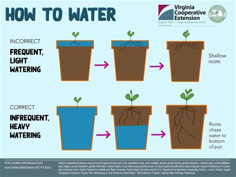 How often to water plants. Sticking to a once-a-week plan can lead to overwatering and underwatering, as some houseplants may need watered more or less often. DO Soak the Soil Thoroughly. 