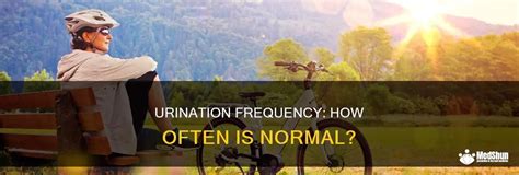 How often urination is normal