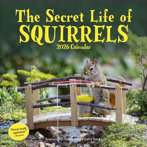 How old are squirrels.  Watch from a Mar 11, 2026 · Have you found an...