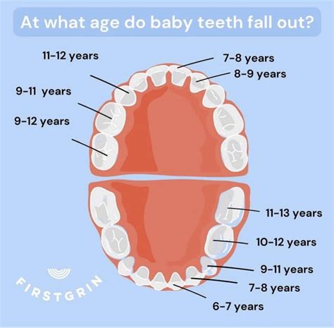 How old when teeth come in