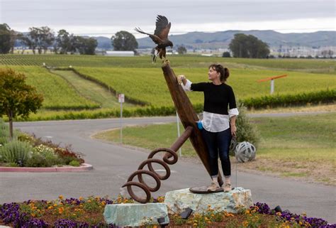 How one Napa vineyard might have saved millions of dollars by using birds as pest control