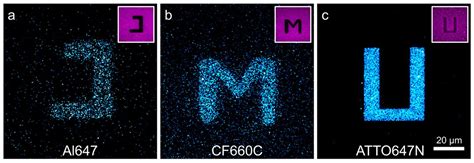 How photoblueing disturbs microscopy EurekAlert!