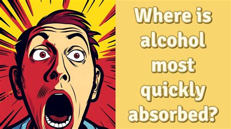 How quickly is alcohol absorbed? - AskingLot.com