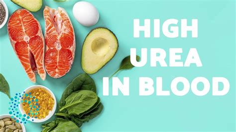 How reduce urea in blood