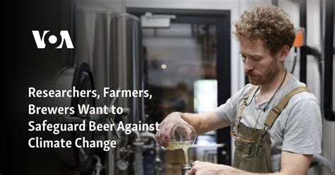 How researchers, farmers and brewers want to safeguard beer against climate change