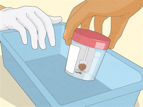 How should I collect and store a poo (stool) sample? - NHS / How long …