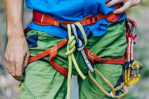 How should a climbing harness fit