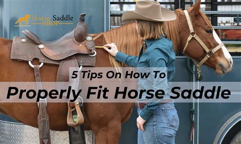 How should a saddle fit