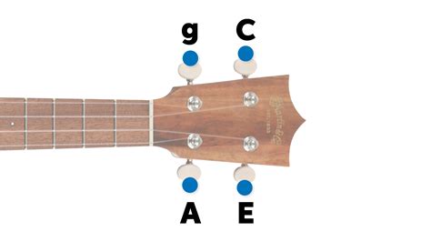 How should a ukelele be tuned