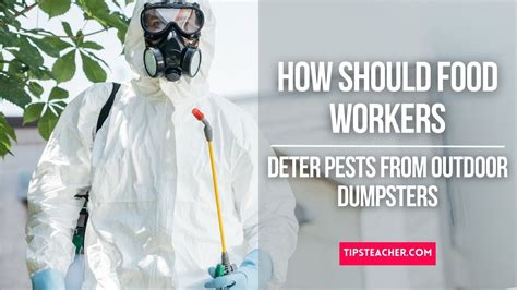 There are several steps that food workers can take to deter pests from outdoor dumpsters: Keep the area clean. Regularly sweep and clean the area around the dumpster to remove any food debris or spills that might attract pests. Use tight-fitting lids. Make sure the dumpster has a tight-fitting lid to prevent pests from getting inside. Repair .... 