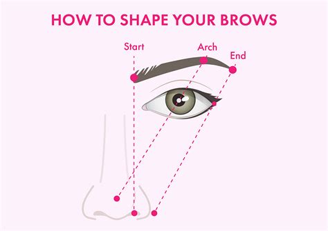 How should i shape my eyebrows