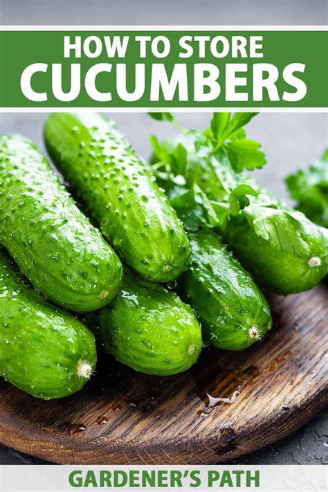 How should you store cucumbers