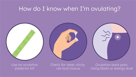 How soon after ovulation is period