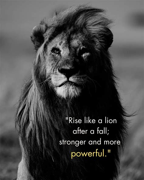 How strong is a lion