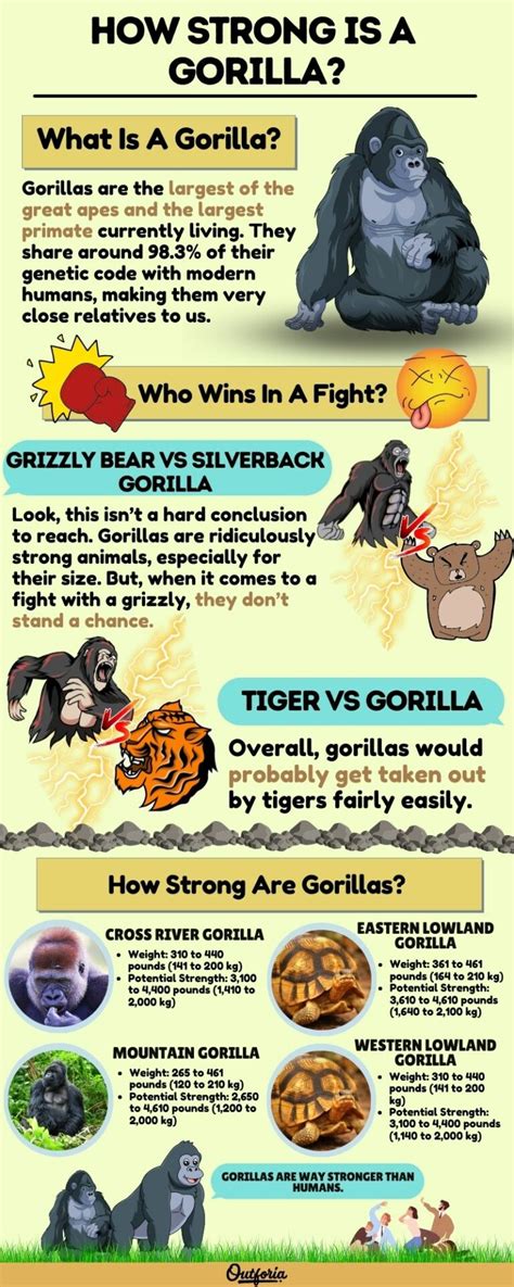 How strong is the strongest gorilla.  In terms of raw output, some report...