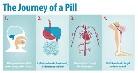 How tablets work in our body