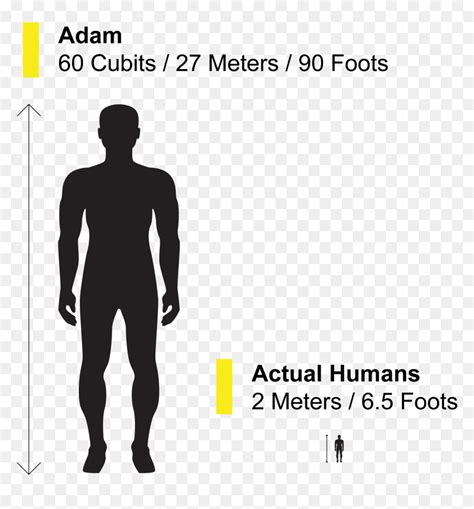 This is how tall Adam was: 60 cubits; about 29 mete