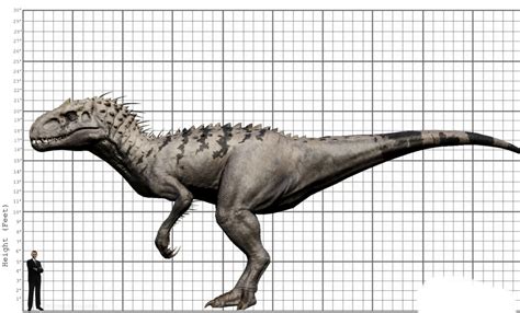 How tall is indominus rex