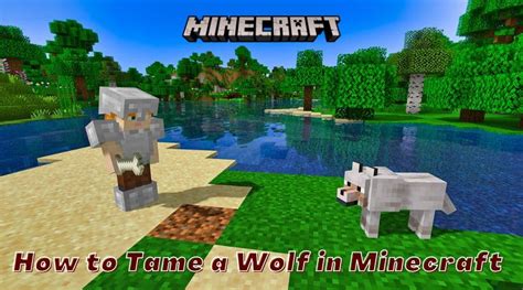 How tame a wolf in minecraft