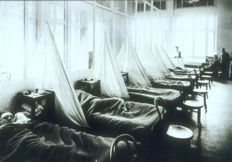 How the 1918 Flu Pandemic Revolutionized Public Health History …