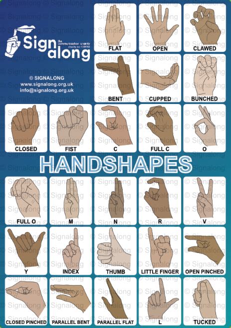 How the hand has shaped sign languages Scientific Reports