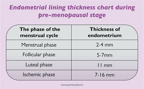 How thick should your endometrium be