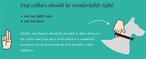 How tight should a dog collar be