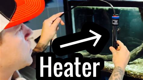 How to: Aquarium Heater Setup & Use - YouTube