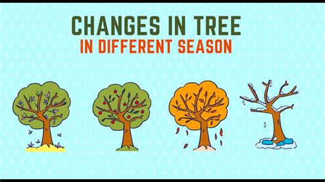 How to Adapt to the Season Change