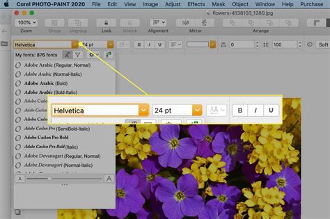 How to Add a Watermark to a Photo in Corel Photo Paint