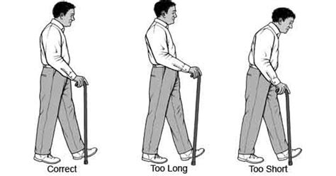 How to Assist Someone Using a Cane Assisting with Walking