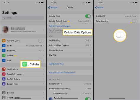 How to Avoid Big iPhone Data Roaming Bills