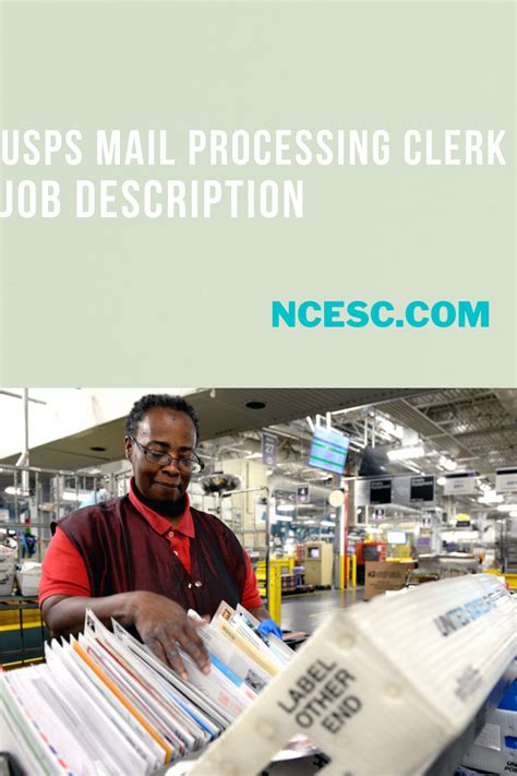 How to Become a Mail Processing Clerk: Complete Career Path