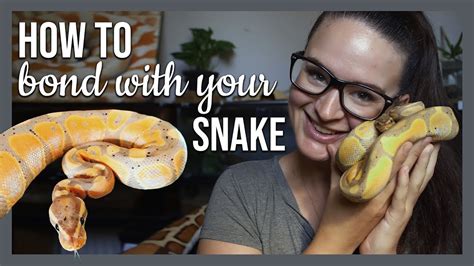 How to Bond with your Snake! YouTube