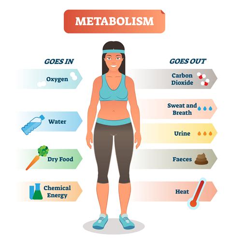 How to Boost a Broken Metabolism - weightandwellness.com