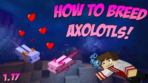 How to Breed Axolotls in Minecraft