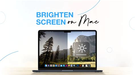 How to Brighten Screen on Mac – A Detailed Guide - Applavia