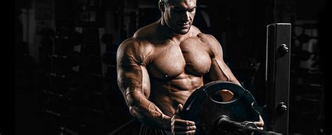 How to Build 50 Pounds of Muscle in 12 Months