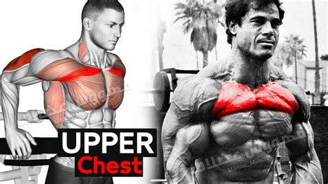 How to Build Upper Chest