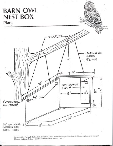 How to Build a Barn Owl Nesting Box Barn Owl Nest Box Plans HubPages