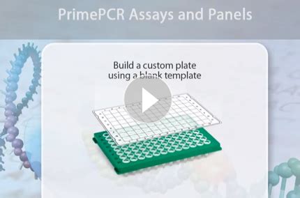 How to Build a Custom PrimePCR™ RealTime PCR Plate Using a Suggested