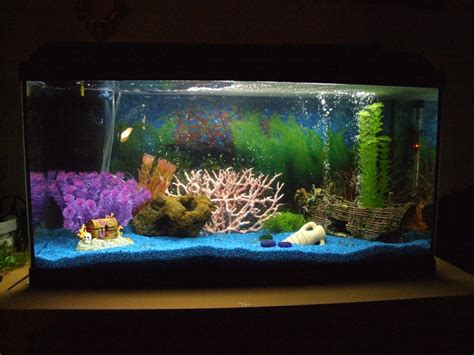 How to Build a Fish Tank A Step By Step Guide Fishkeeping World