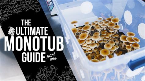 How to Build a Monotub StepbyStep DIY Guide for Indoor Mushroom
