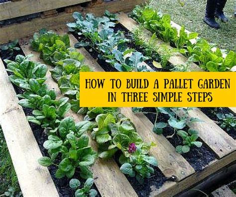 How to Build a Pallet Garden in Three Simple Steps » HG